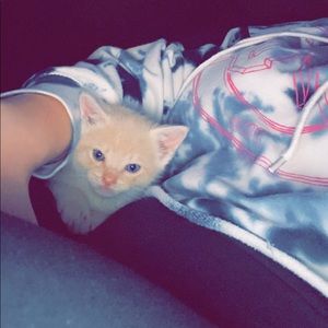 Meet your Posher, Penny